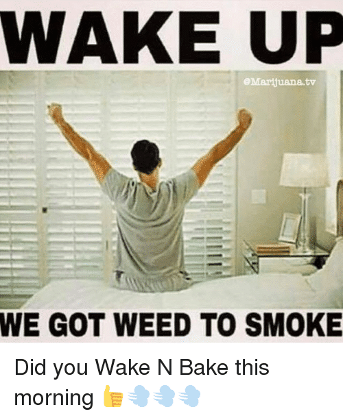 Best Wake And Bake Quotes Lit Wake And Bake Memes