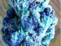 dope weed pictures