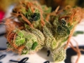 weed pictures