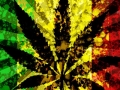 dope weed pictures