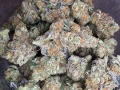 weed pictures