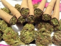 weed pictures