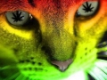 dope weed pictures