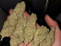 big-weed-nugs