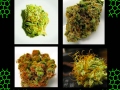 pictures-of-weed