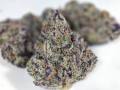 weed-nug-pics