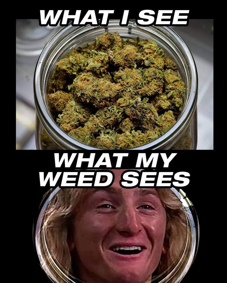 Cool Cannabis Pictures & Cannabis Memes - NGU