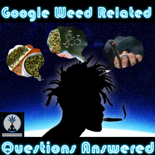 stoner questions